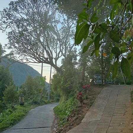 Jepun Homestay Lemukih Сингараджа Экстерьер фото