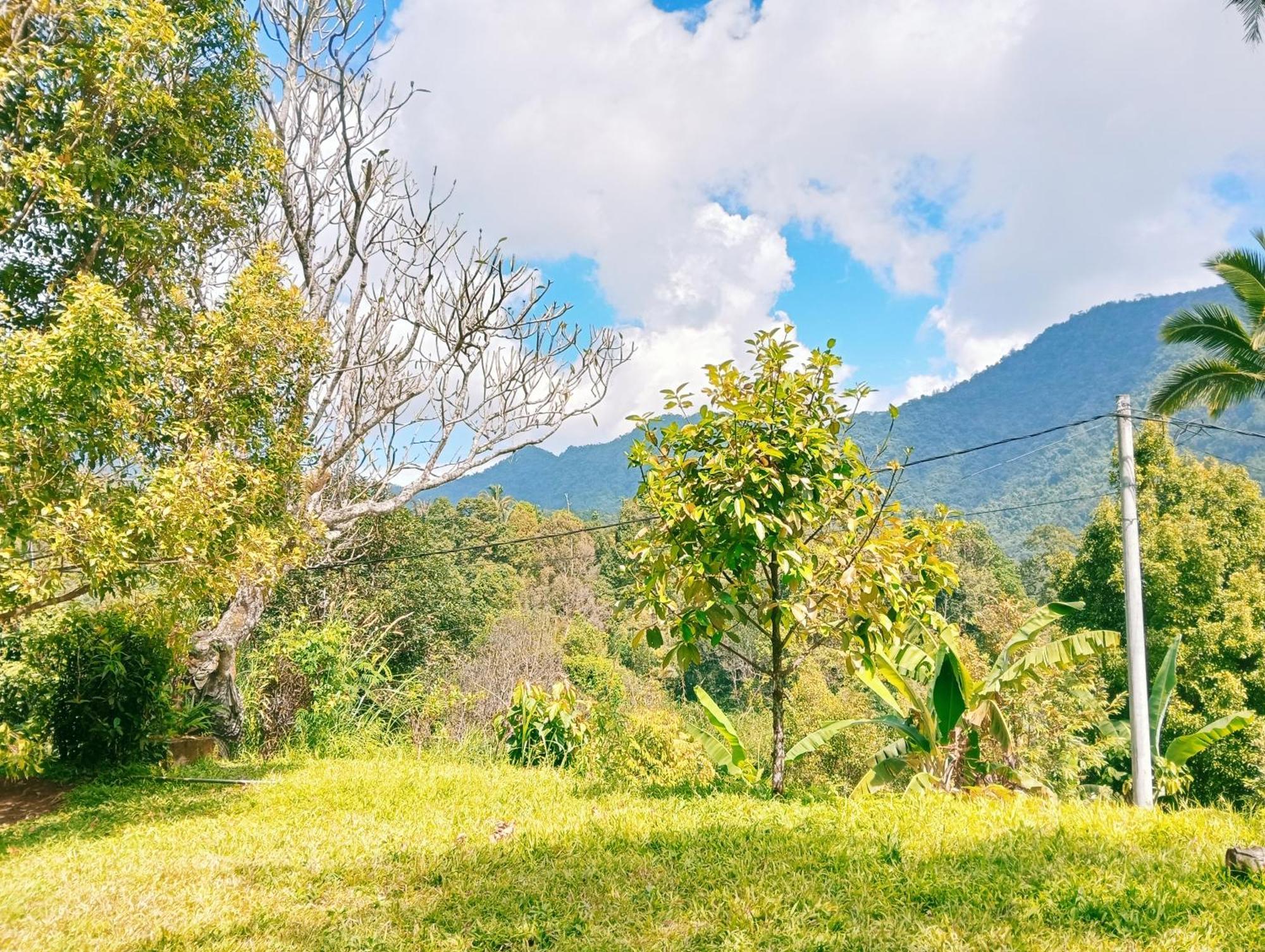 Jepun Homestay Lemukih Сингараджа Экстерьер фото