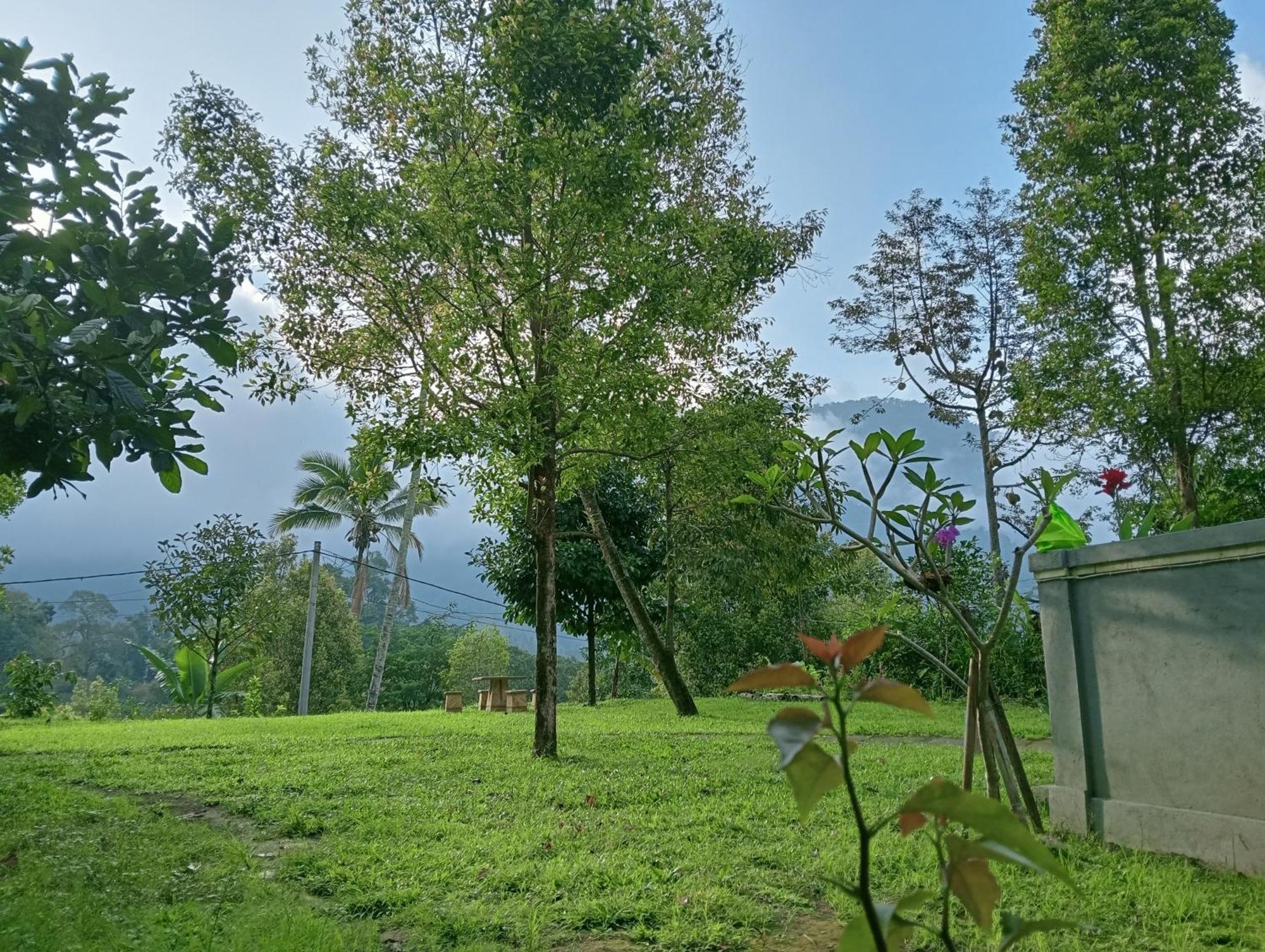 Jepun Homestay Lemukih Сингараджа Экстерьер фото
