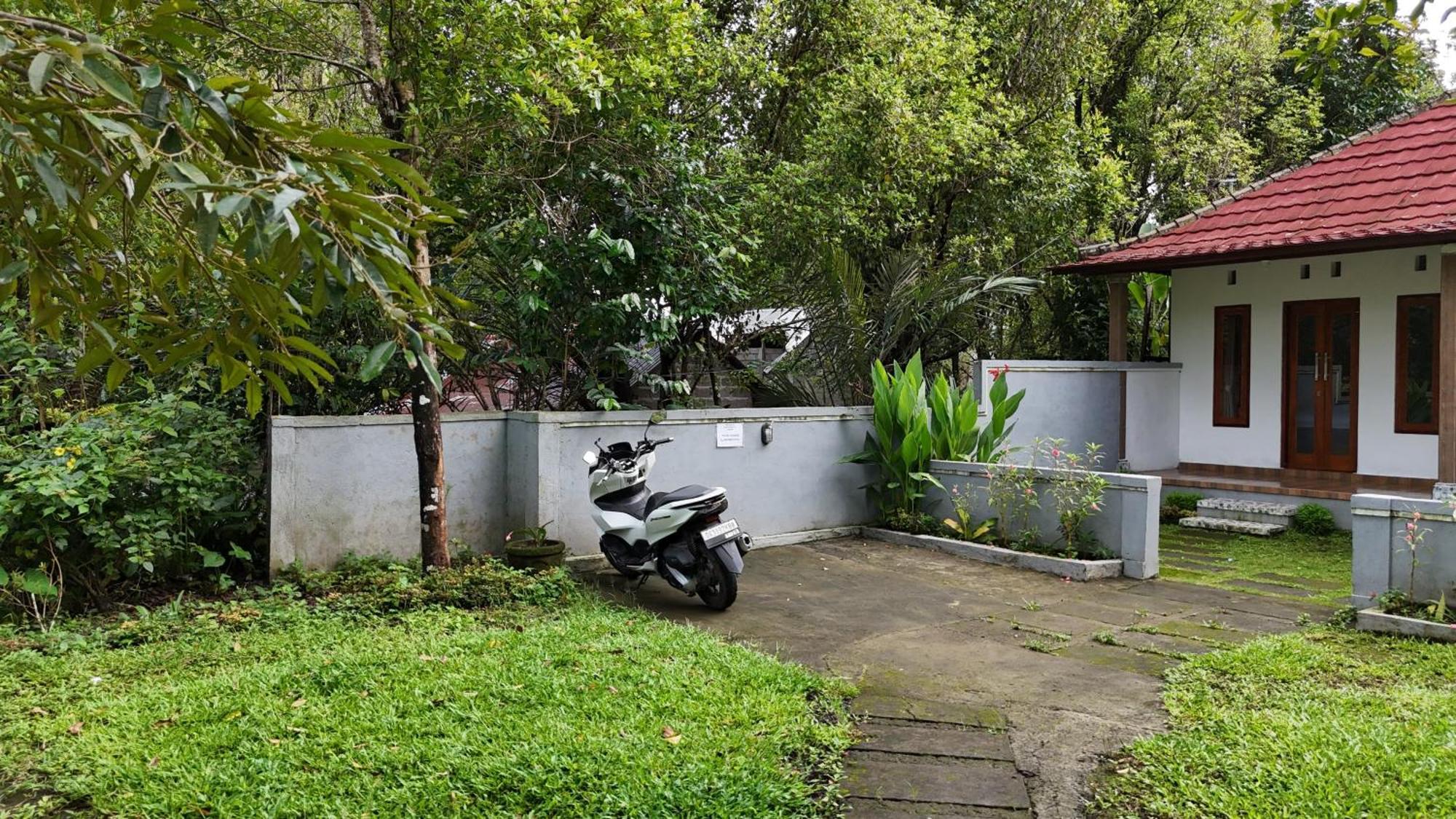 Jepun Homestay Lemukih Сингараджа Экстерьер фото